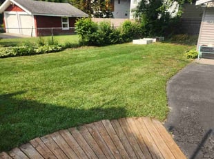 Victor Y.'s lawn service service result