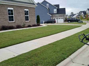 Samuel S.'s lawn care service result