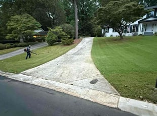 Kiana A.'s lawn care service result