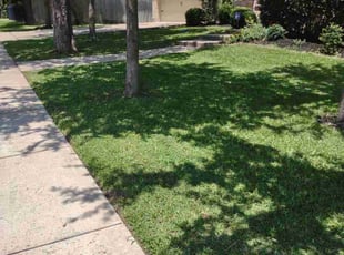 Cheryl H.'s lawn care services service result