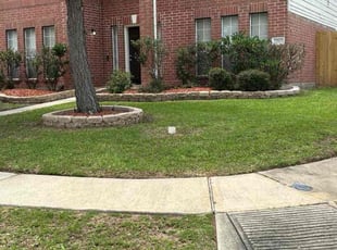 Jesse G.'s turf maintenance service result