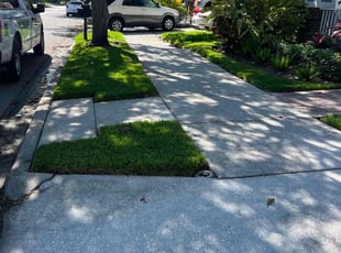 Janine G.'s lawn care services service result