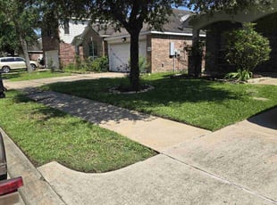 Deborah R.'s turf care service result