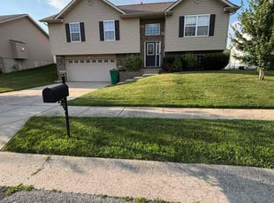 Jon B.'s lawn maintenance service result