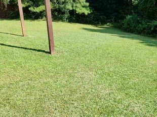 Jauvon L.'s lawn care services service result