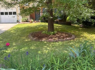 Nina R.'s lawn care services service result