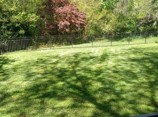 Alejandro R.'s lawn service service result