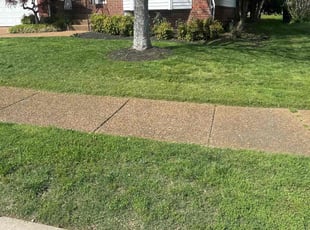 Khalilah M.'s grass maintenance service result