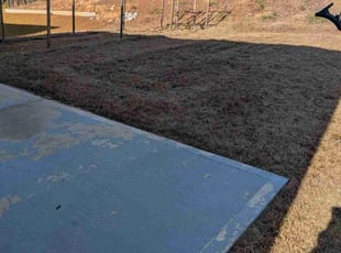 Diesel A.'s lawn care services service result