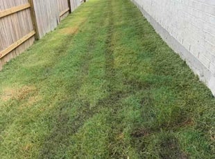 Roseann M.'s lawn care services service result