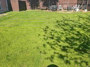 Lisa O.'s lawn care services service result