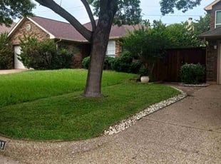 David U.'s grass maintenance service result