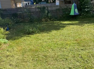 Demond D.'s lawn maintenance service result