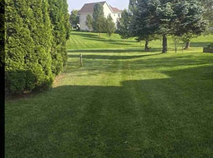 Mar M.'s lawn care service result