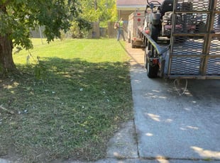 Valeriana D.'s turf care service result