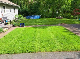 Tanaha B.'s grass cutting service result