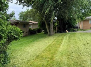 Amanda C.'s grass maintenance service result