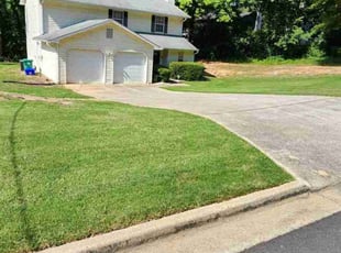 Taylor P.'s lawn service service result