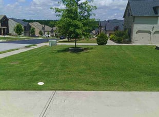 Jeremiah C.'s lawn service service result