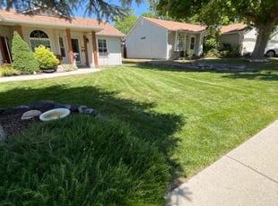 Megan O.'s turf care service result
