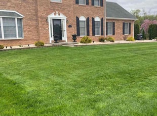 Andrew D.'s lawn maintenance service result