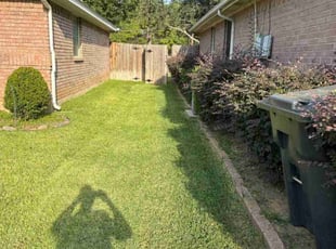 James N.'s grass maintenance service result