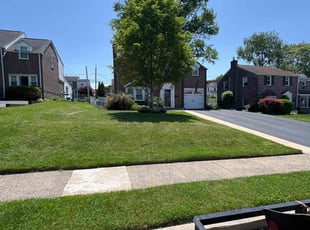 Azterrah B.'s lawn care service result