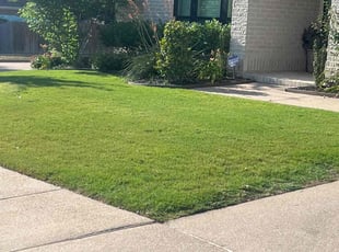 Robert B.'s lawn maintenance service result