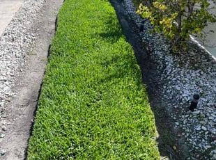Rozella M.'s lawn service service result