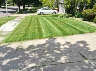 Alex C.'s lawn care services service result