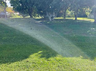 Diane W.'s lawn care services service result