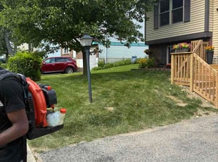 Chris M.'s grass cutting service result
