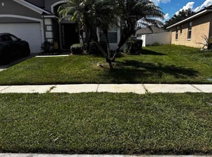 Gary F.'s turf care service result