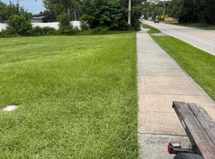 Brian D.'s grass cutting service result