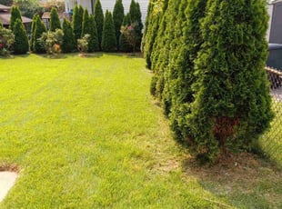 Julie C.'s turf maintenance service result