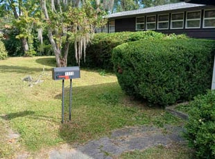 Eloy R.'s Bush Trimming service result