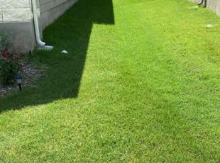 Andrea M.'s turf maintenance service result