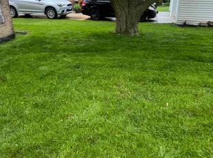 Baris V.'s lawn service service result