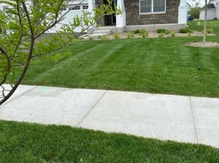 Kaylay M.'s lawn care services service result