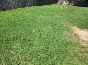 Robert B.'s grass maintenance service result