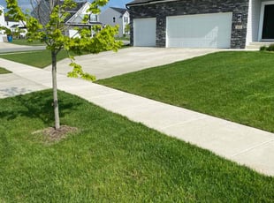 Aimee M.'s grass maintenance service result
