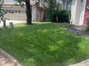 Cynthia S.'s residential landscaping service result