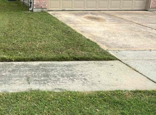 Seth S.'s lawn maintenance service result