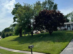 Kenneth R.'s turf care service result