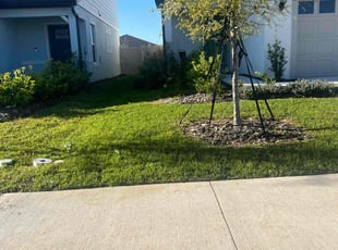 Jacqueline S.'s turf maintenance service result