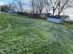 Diane G.'s lawn care services service result