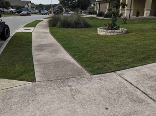 Shantele P.'s residential landscaping service result