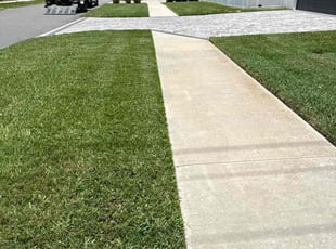 Matthew S.'s lawn care service result