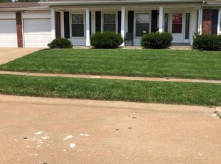 Ramon G.'s lawn care services service result