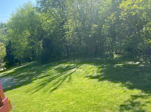 Paul I.'s lawn maintenance service result